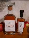 vops-ounabrandi2